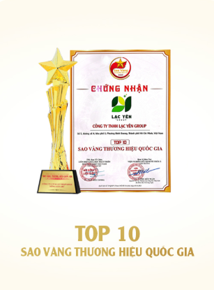 TOP 10 Sao Vàng Thương Hiệu Quốc Gia