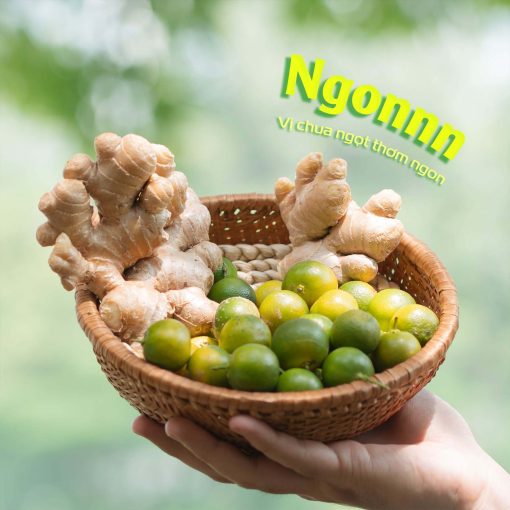 Tắc Gừng Mật Ong Lạc Yên Foods, Thơm Ngon Bổ Dưỡng, Có Nhiều Miếng Tắc và Gừng Để Ngậm Thơm Ngon