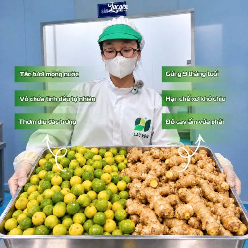 Tắc Gừng Mật Ong Lạc Yên Foods, Thơm Ngon Bổ Dưỡng, Có Nhiều Miếng Tắc và Gừng Để Ngậm Thơm Ngon