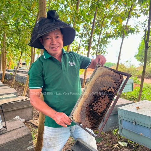 Mật Nghệ Chuối Xanh